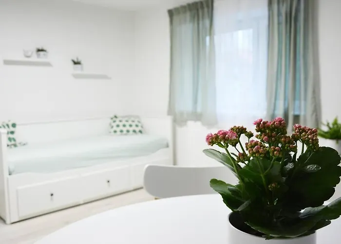 Kvetinovy Dum Apartment Hluk
